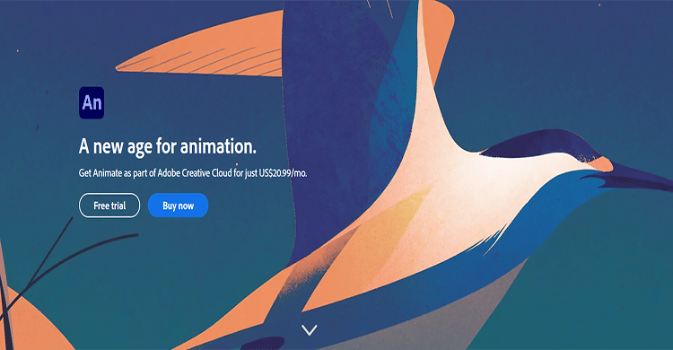Adobe animieren